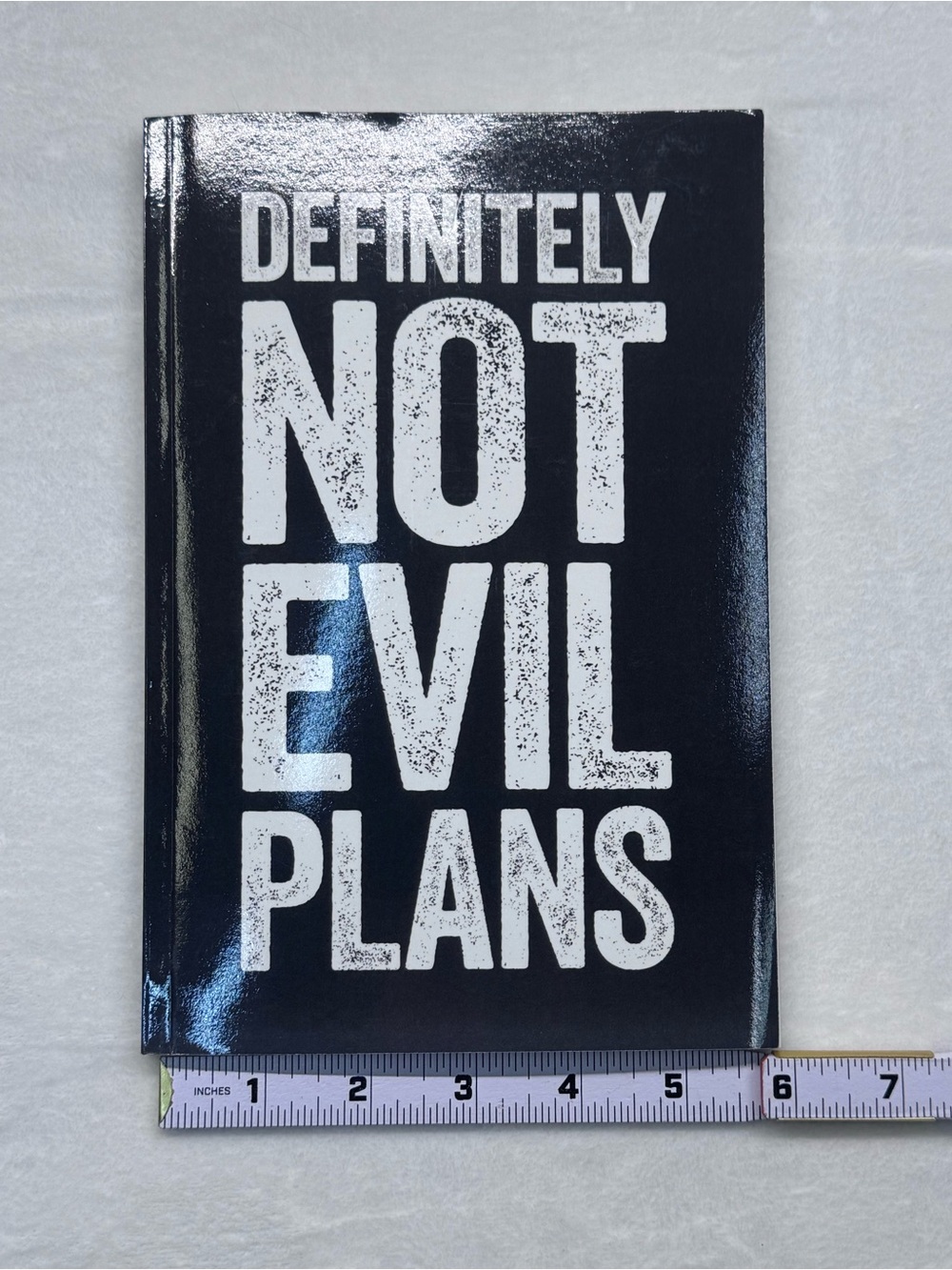 Definitely Not Evil Plans Black Notebook - Picture 6 of 6